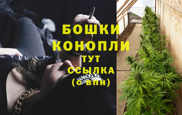 кокаин колумбия Заводоуковск